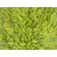 ΠΑΤΑΚΙ SHAGGY IBIZA  LIME 50Χ80 LINEAHOME