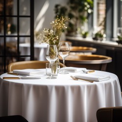 Beauty Home Ροτόντα επαγγελματική Stain Art Ε8496 Φ320 Λευκό