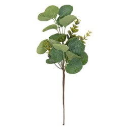 Beauty Home ΕΥΚΑΛΥΠΤΟΣ 35 CM