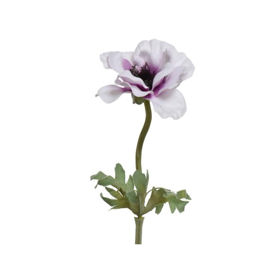 Beauty Home ΑΝΕΜΩΝΗ 57 CM