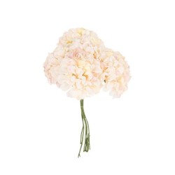 Beauty Home 6 ΟΡΤΑΝΣΙΕΣ 10cm