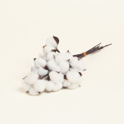 Beauty Home ΒΑΜΒΑΚΙ