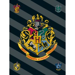 Κουβέρτα Fleece Harry Potter - Γκρι - Διάσταση: 100 x 150 cm