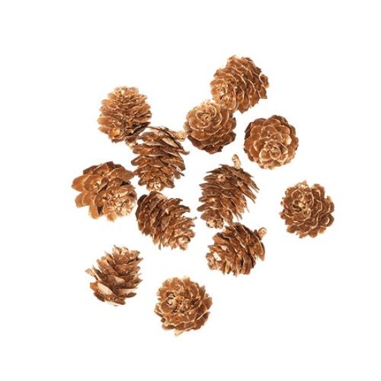 Beauty Home 12 Κουκουνάρια Χρυσά 2 cm