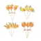 Beauty Home 12 Ταμπελάκια με θέμα “Fizz Citrus” 9,5cm