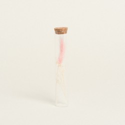 Beauty Home ΓΥΑΛΙΝΟΣ ΣΩΛΗΝΑΣ ΜΕ ΚΛΑΔΙΑ 3 x 18 cm
