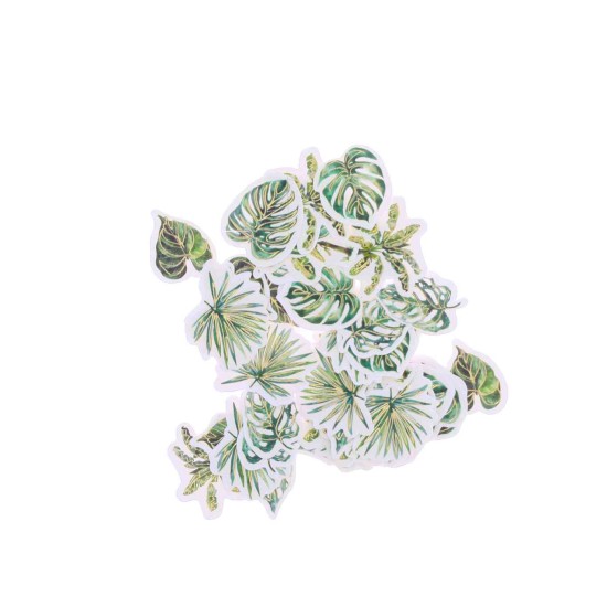 Beauty Home 100 κομφετί Coco Palm σε κρεμ, πράσινο και χρυσό