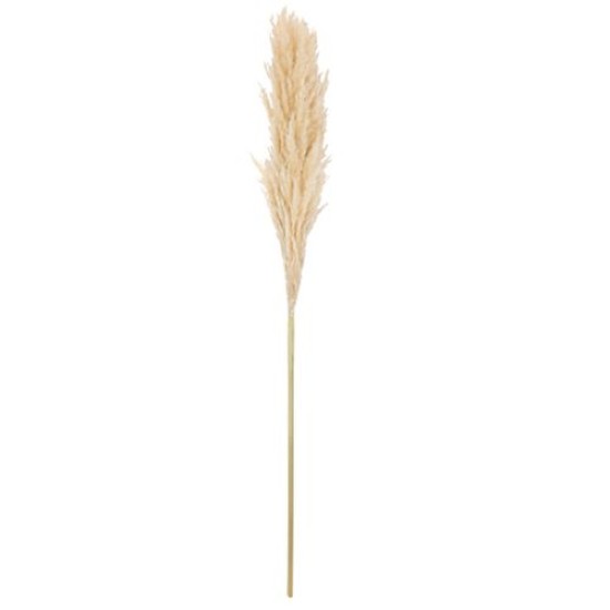 Beauty Home Αποξηραμένο κλαδί Pampas Εκρού 1,00 – 1,10 m
