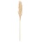 Beauty Home Αποξηραμένο κλαδί Pampas Εκρού 1,00 – 1,10 m
